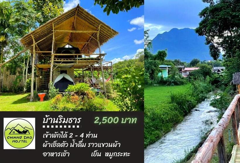 Standard Tent, Chiang Dao Hostel