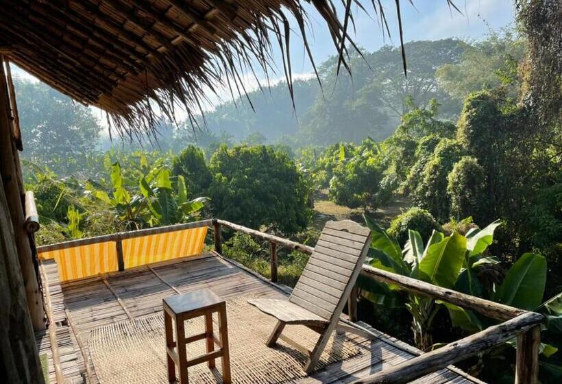 Standard Tent, Chiang Dao Hostel