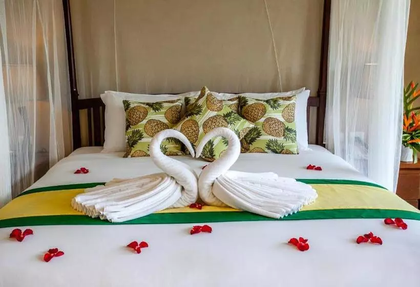 ویلای یک اتاق خوابه با استخر شنا, Hula Hula Resort L Truly Tropical And Fun Wellness