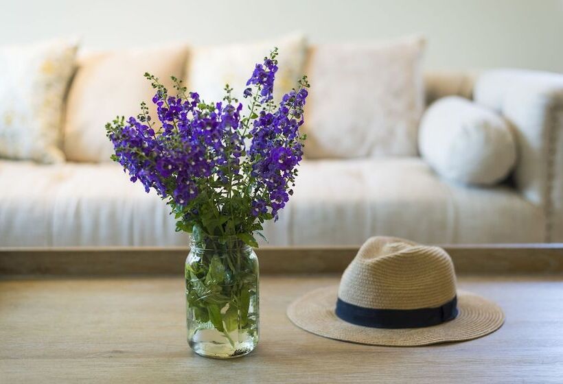 סוויטה, U Khao Yai