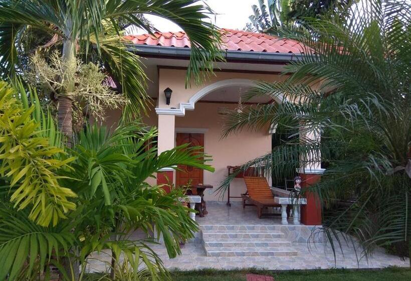 בקתה סטנדרטית, Stella Resort