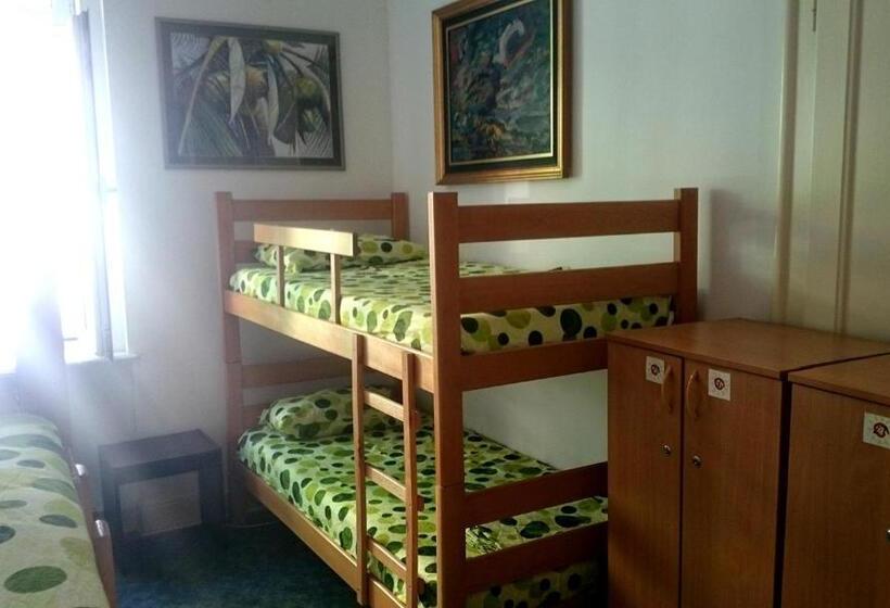 تختخواب در اتاق مشترک, Sun Hostel
