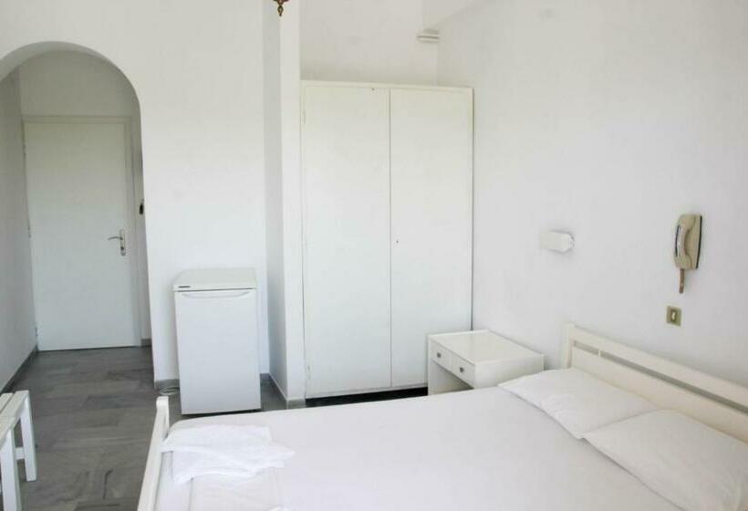 Номер Стандарт, Zannet