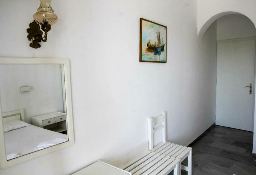 Номер Стандарт, Zannet