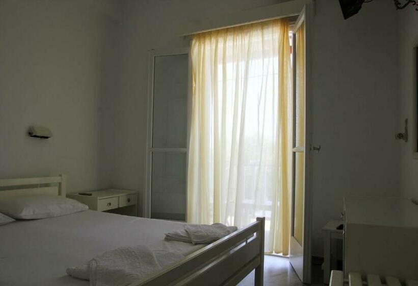 Номер Стандарт, Zannet