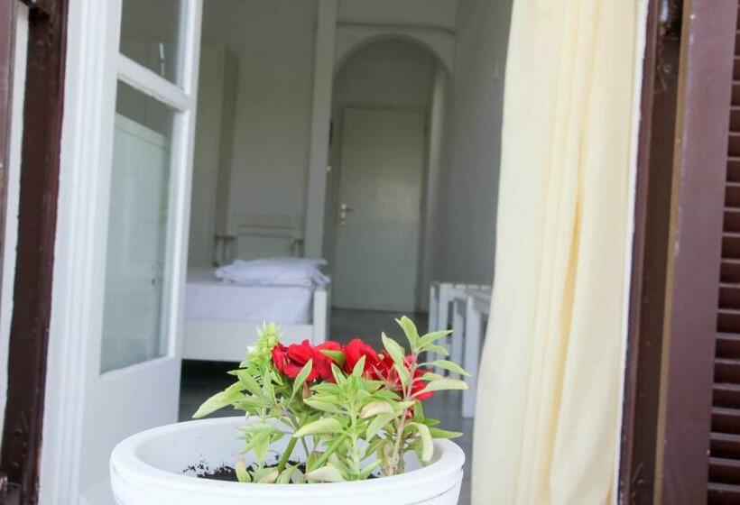 Номер Стандарт, Zannet