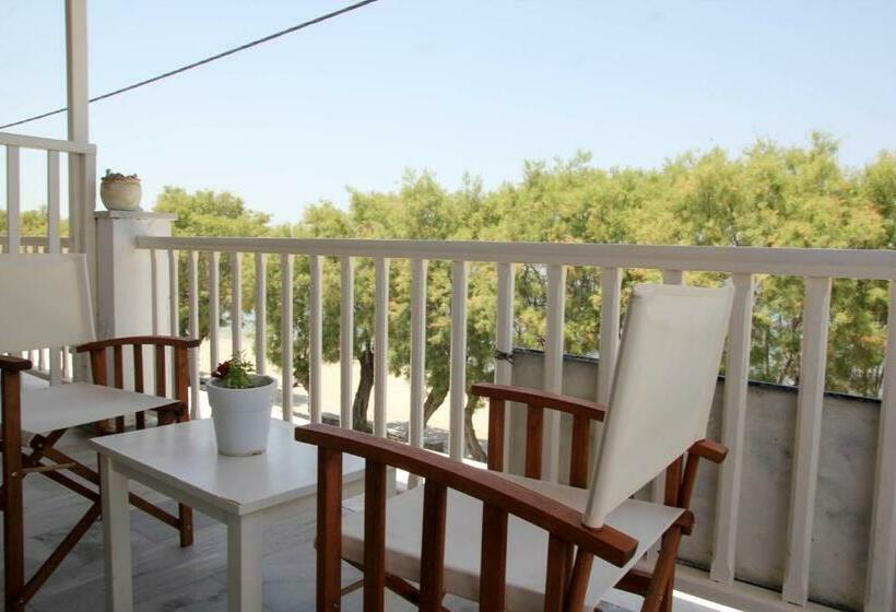 Номер Стандарт, Zannet