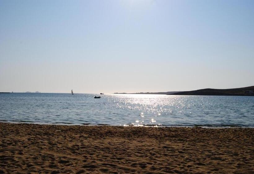 Номер Стандарт, Zannet