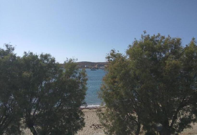 Номер Стандарт, Zannet