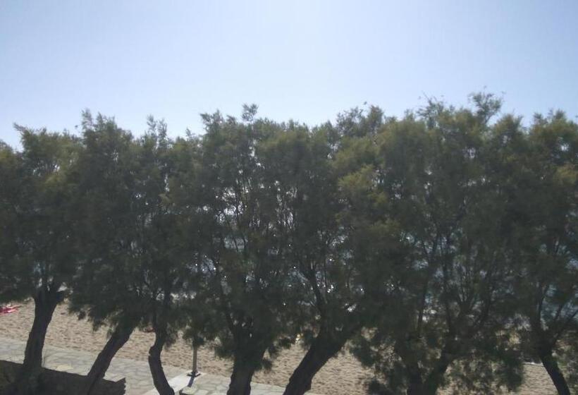 Номер Стандарт, Zannet