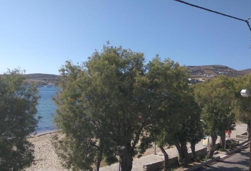 Номер Стандарт, Zannet