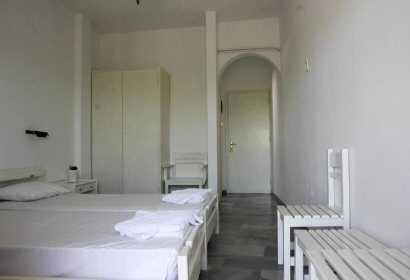 Номер Стандарт, Zannet