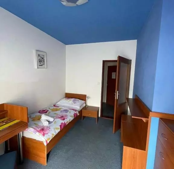 コンフォートシングルルーム, Apartmány, Penzion, Wellness U Zlaté Rybky
