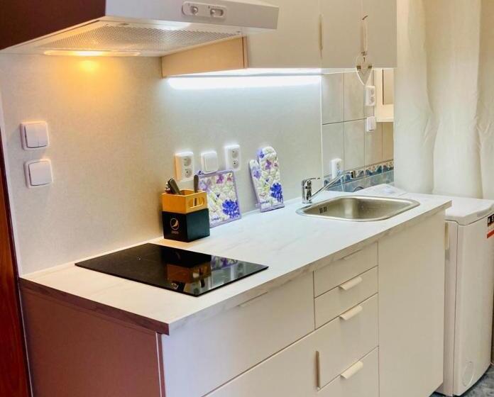 Апартаменты 1 Спальня, Apartmány, Penzion, Wellness U Zlaté Rybky
