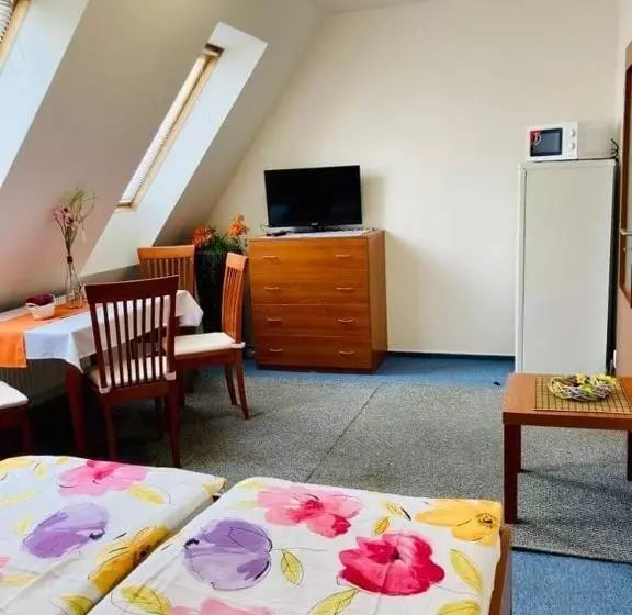 １ベッドルームアパートメント, Apartmány, Penzion, Wellness U Zlaté Rybky