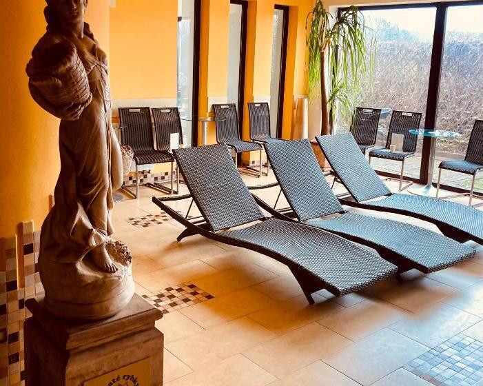 חדר דלוקס, Apartmány, Penzion, Wellness U Zlaté Rybky