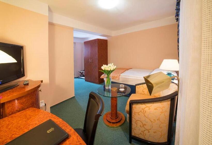 اتاق اکونومی یک تخته, Belvedere Spa & Kur