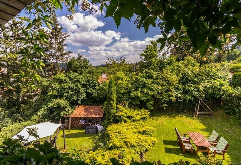 חדר דלוקס עם מיטת קינג, Boutique Penzion Rech