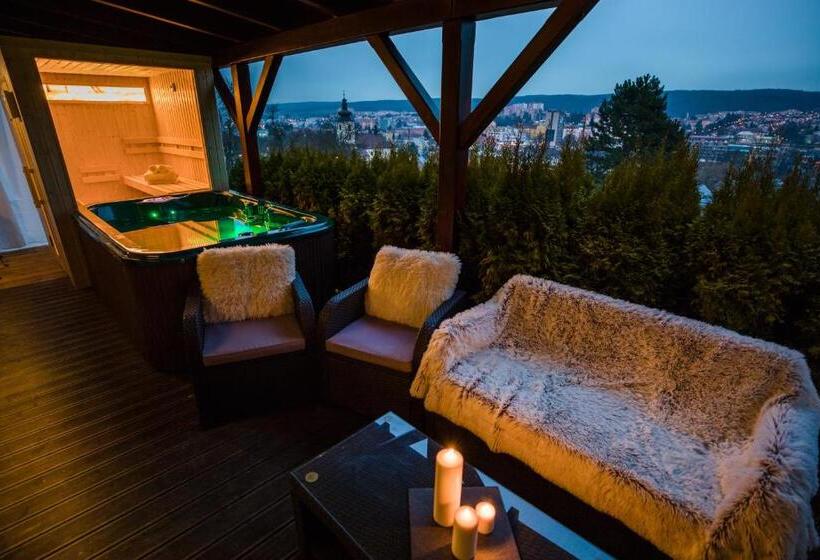 דירת חדר סופריור, Boutique Penzion Rech