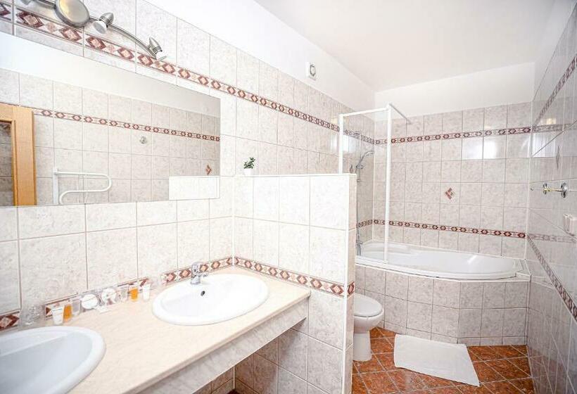 带1个卧室的豪华公寓, Gong