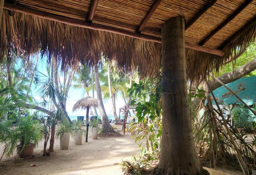 اتاق استاندارد, La Palapa