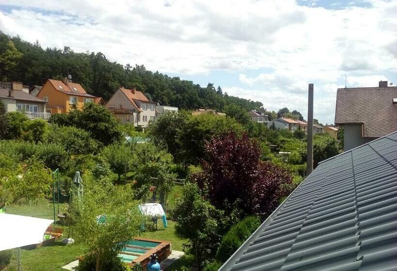 标准三人间, Manhattan Penzion