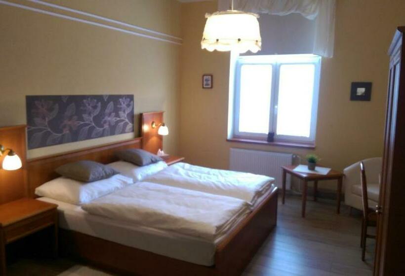 غرفة قياسية, Pension Elektra