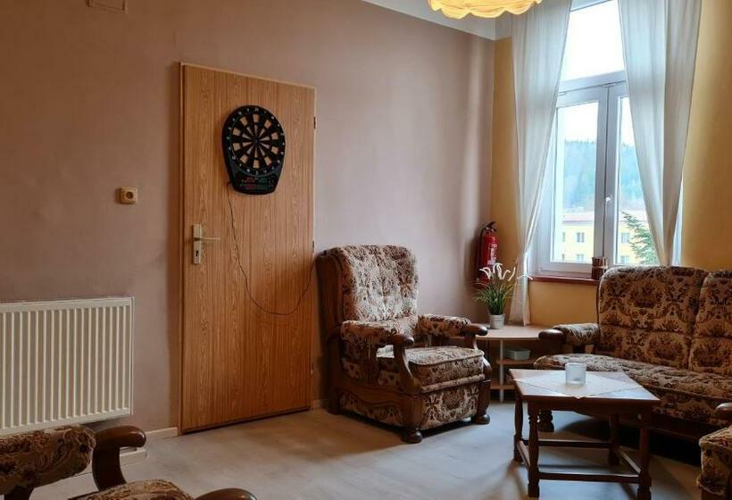 غرفة قياسية, Pension Elektra