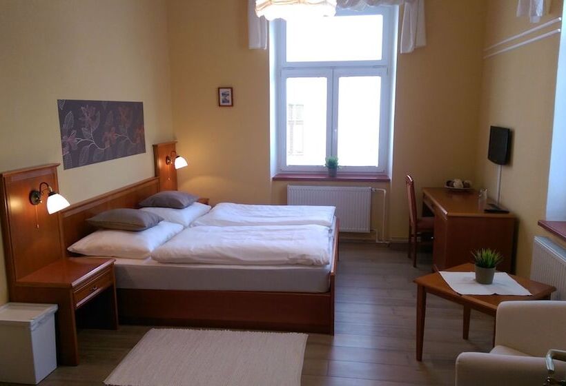 Номер Стандарт, Pension Elektra