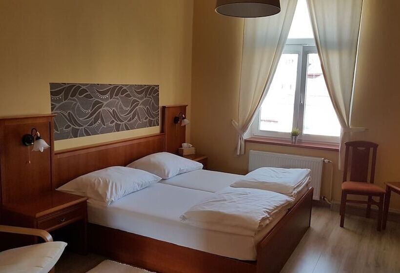 غرفة قياسية, Pension Elektra