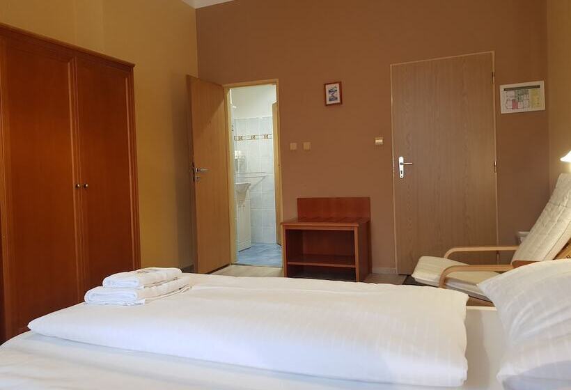 غرفة قياسية, Pension Elektra