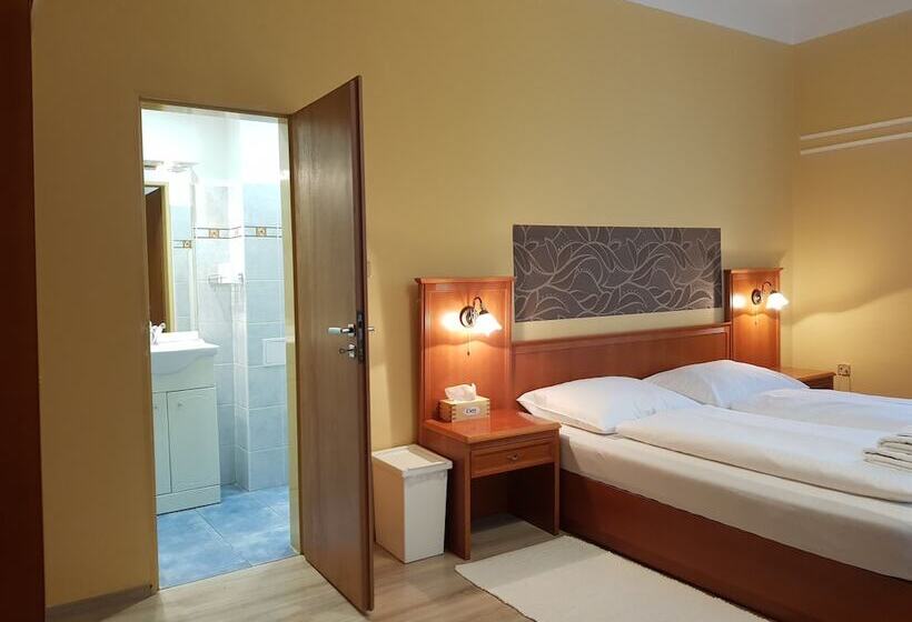 غرفة قياسية, Pension Elektra