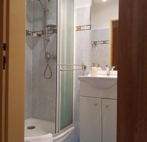 غرفة قياسية, Pension Elektra