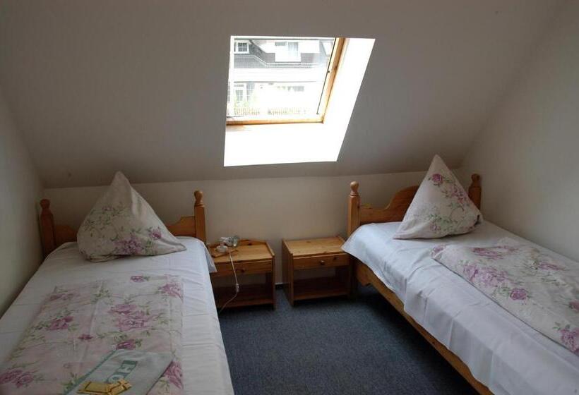 חדר סטנדרט, Penzion Bobešova Bouda