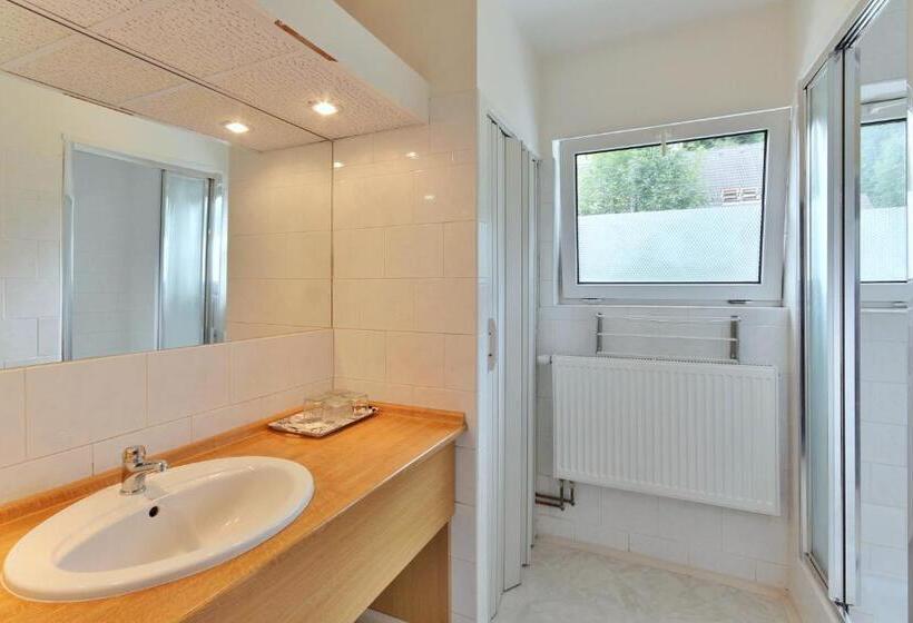 חדר סטנדרט, Penzion Bobešova Bouda