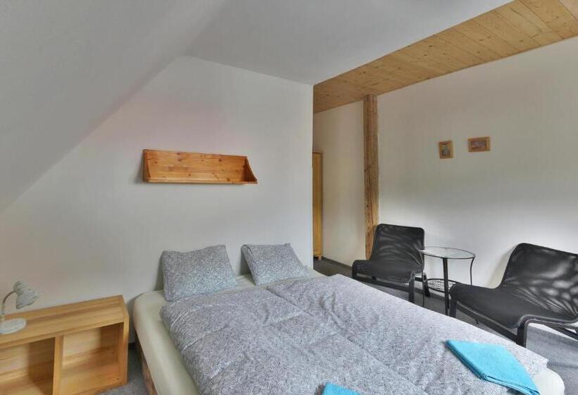 חדר סטנדרט, Penzion Bobešova Bouda