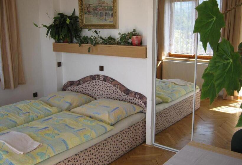 غرفة قياسية, Privat Apartma Ulrych