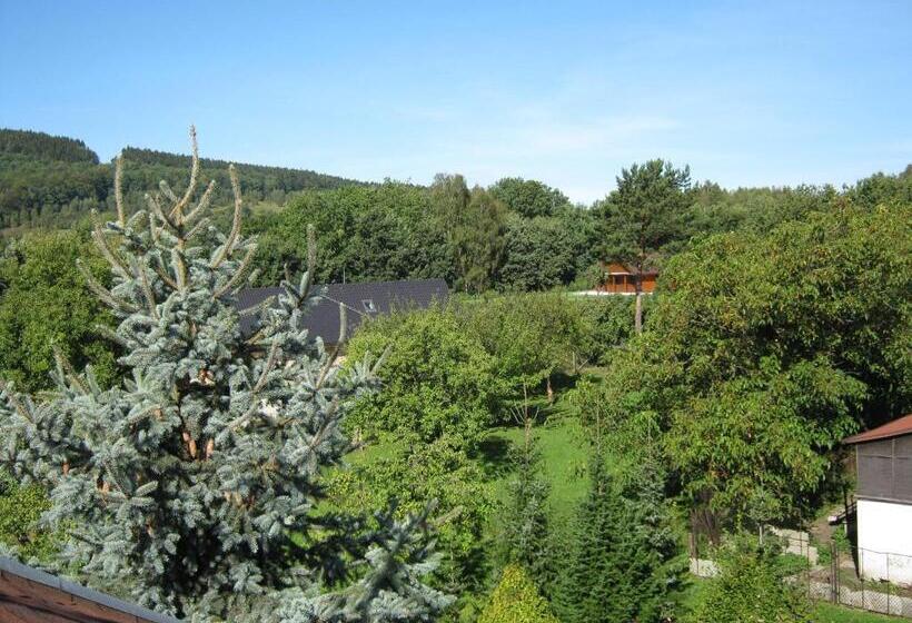 جناح جونيور, Privat Apartma Ulrych