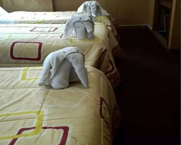 اتاق استاندارد سه نفره, Puma Hostel Puno