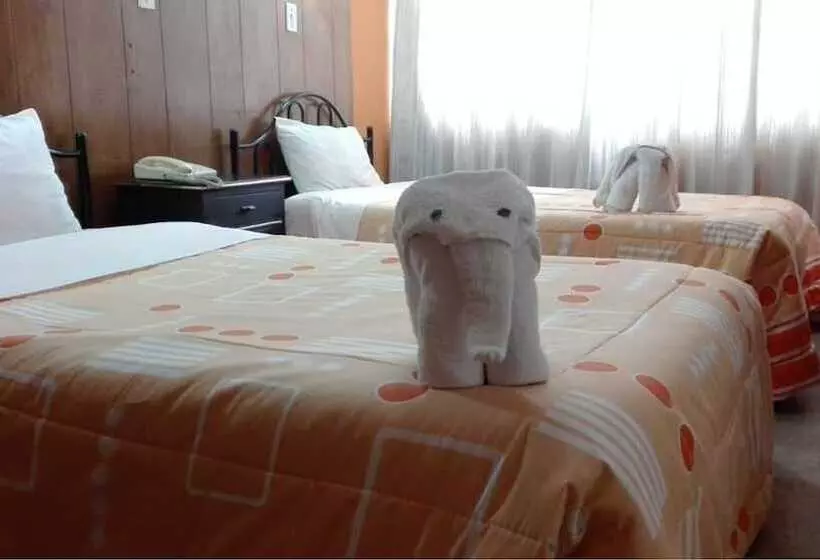 اتاق استاندارد چهار تخته, Puma Hostel Puno