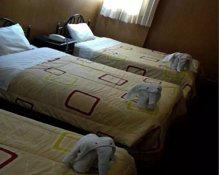 اتاق استاندارد چهار تخته, Puma Hostel Puno
