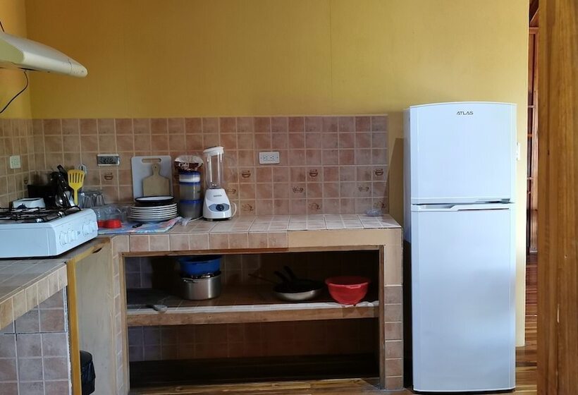 استودیو کامفورت, Ritmo Tropical