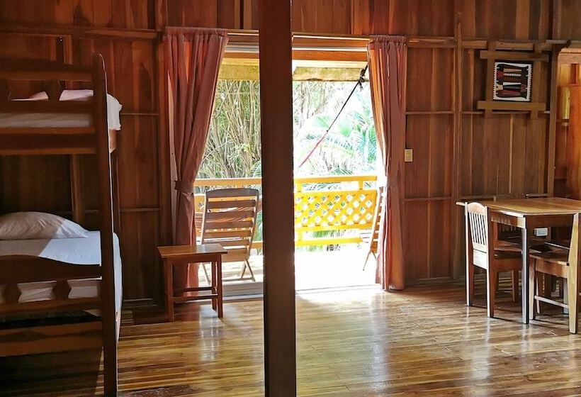 استودیو کامفورت, Ritmo Tropical