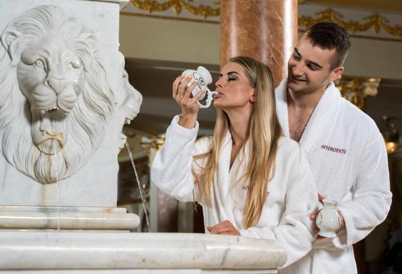 スパアクセス付きのスーペリアルーム, Aphrodite Palace