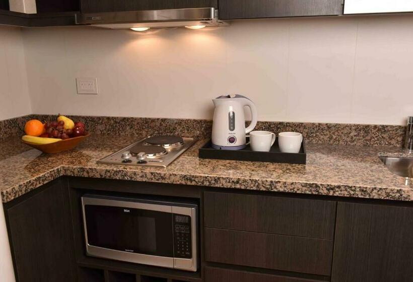 استودیو استاندارد با تخت کینگ, Arc Arenales Studios & Suites