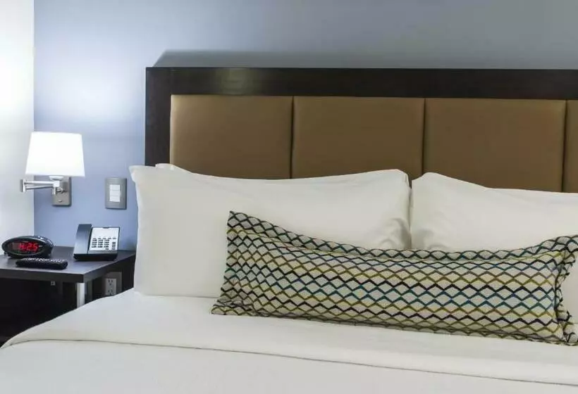 キングサイドベッドのスタンダードワンルーム, Candlewood Suites Celaya By Ihg