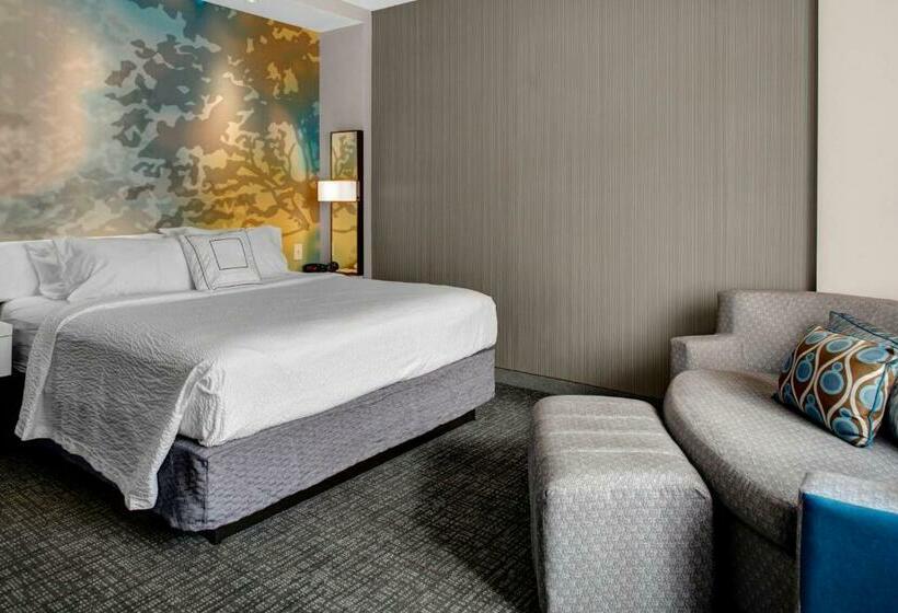 غرفة قياسية سرير كينج, Courtyard By Marriott Carrollton