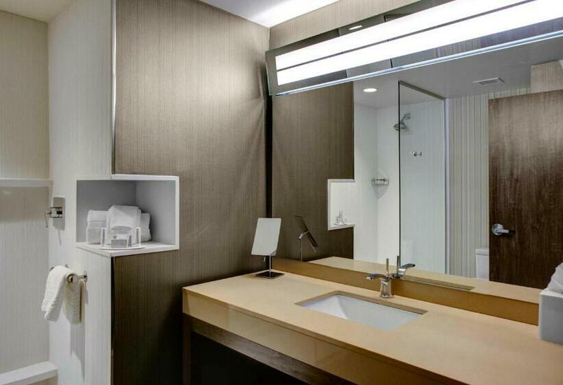 غرفة قياسية سرير كينج, Courtyard By Marriott Carrollton