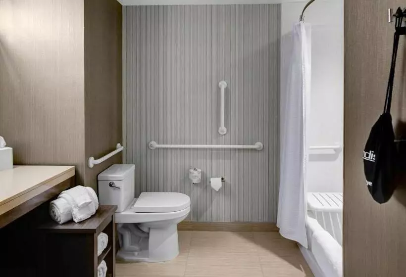 Standard-huone, Courtyard By Marriott Carrollton