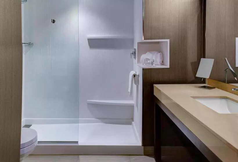 Suite Queen Bed, Courtyard By Marriott Carrollton